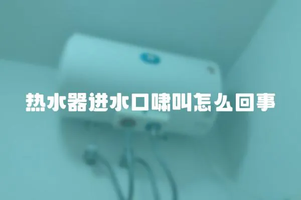 熱水器進水口嘯叫怎么回事