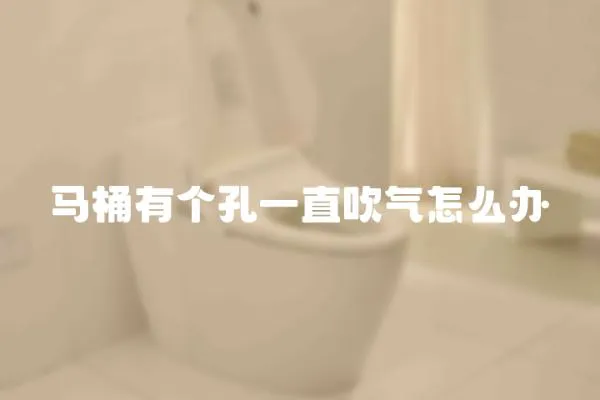 馬桶有個(gè)孔一直吹氣怎么辦