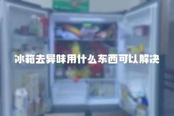 冰箱去異味用什么東西可以解決