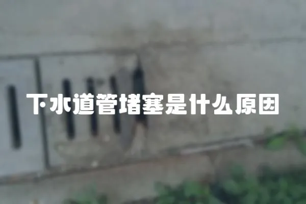 下水道管堵塞是什么原因