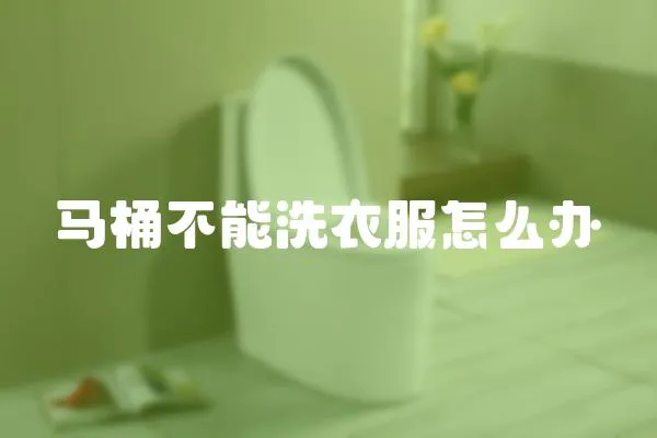 馬桶不能洗衣服怎么辦