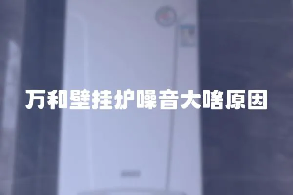 萬和壁掛爐噪音大啥原因