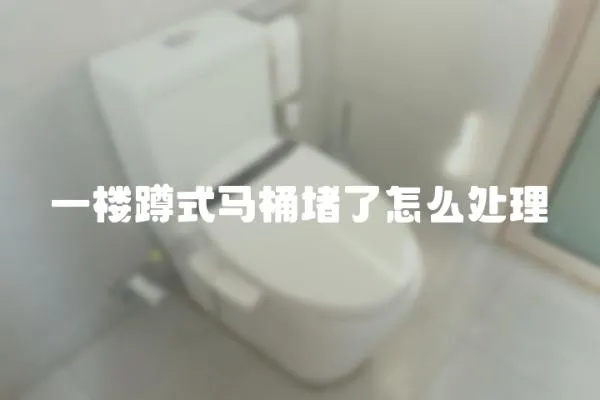 一樓蹲式馬桶堵了怎么處理