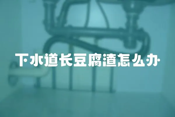 下水道長豆腐渣怎么辦