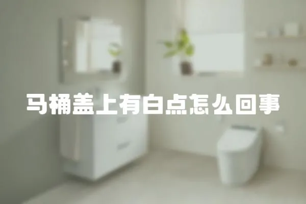 馬桶蓋上有白點怎么回事