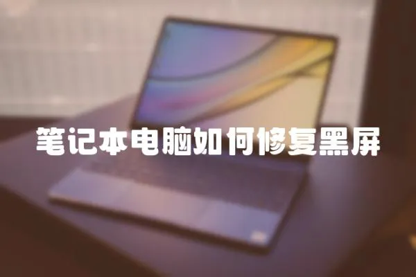筆記本電腦如何修復(fù)黑屏