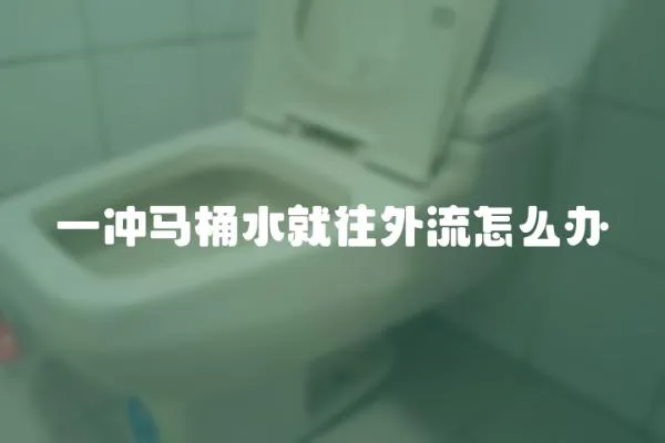 一沖馬桶水就往外流怎么辦