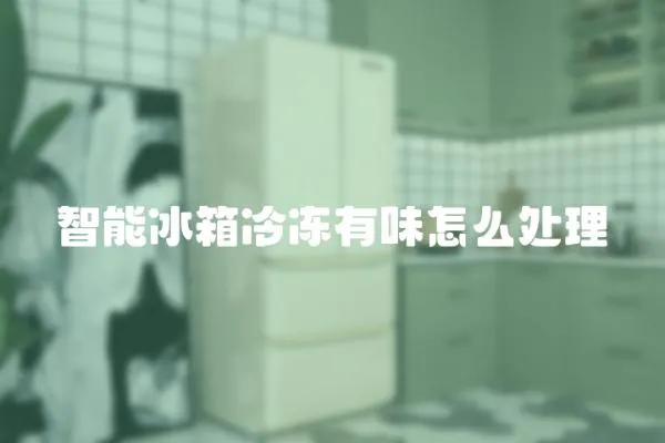 智能冰箱冷凍有味怎么處理