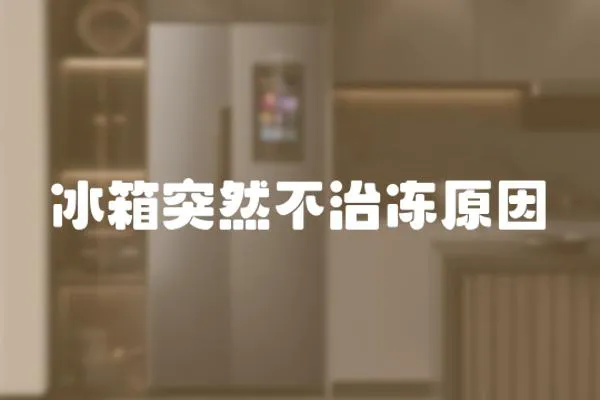 冰箱突然不治凍原因