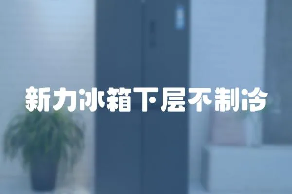 新力冰箱下層不制冷