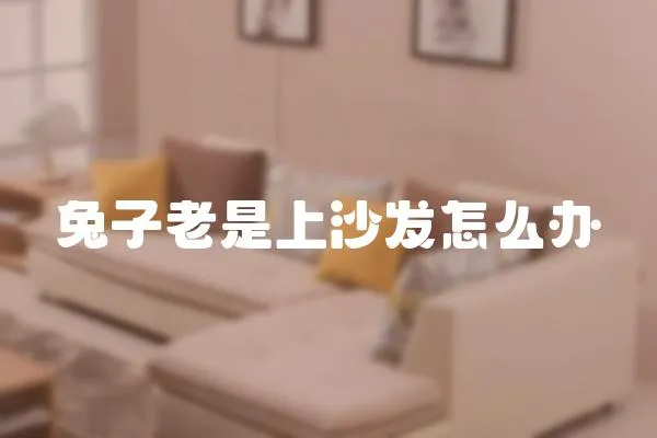 兔子老是上沙發(fā)怎么辦