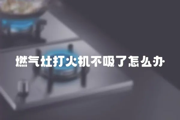 燃?xì)庠畲蚧饳C(jī)不吸了怎么辦