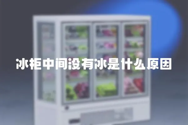 冰柜中間沒(méi)有冰是什么原因