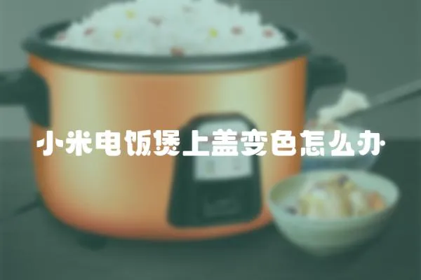 小米電飯煲上蓋變色怎么辦
