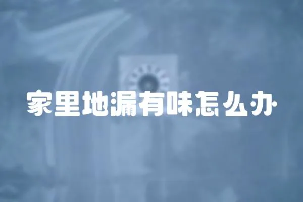 家里地漏有味怎么辦