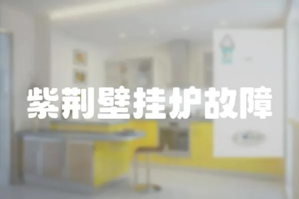 紫荊壁掛爐故障