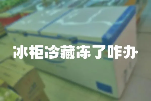 冰柜冷藏凍了咋辦