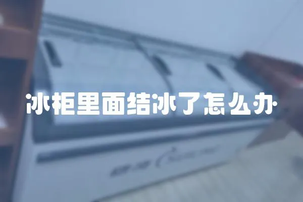 冰柜里面結冰了怎么辦