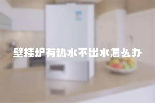 壁掛爐有熱水不出水怎么辦