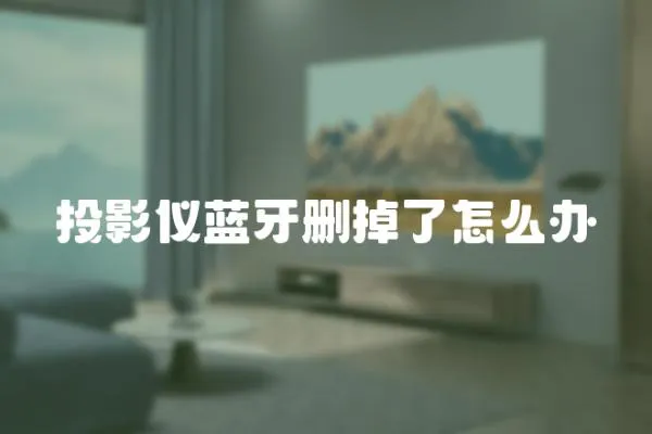 投影儀藍牙刪掉了怎么辦