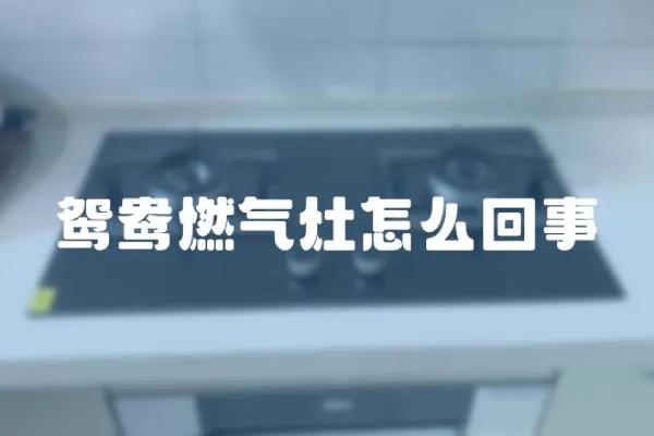 鴛鴦燃氣灶怎么回事