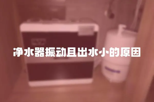 凈水器振動且出水小的原因