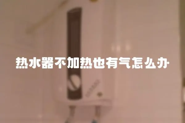 熱水器不加熱也有氣怎么辦