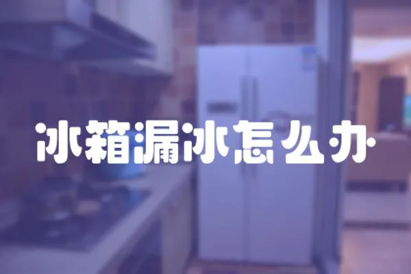 冰箱漏冰怎么辦