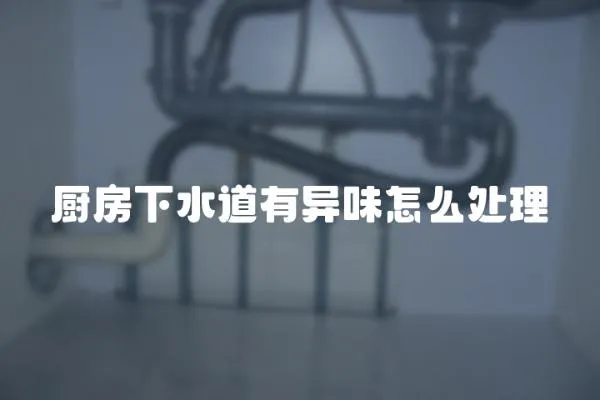 廚房下水道有異味怎么處理