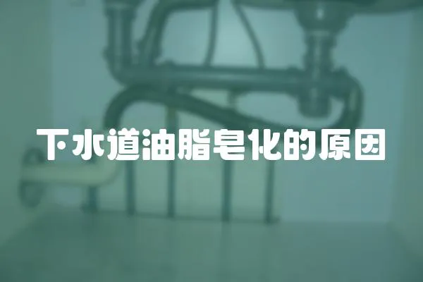 下水道油脂皂化的原因