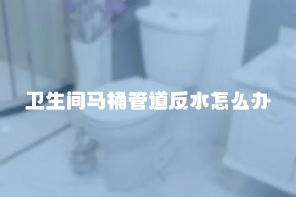 衛(wèi)生間馬桶管道反水怎么辦
