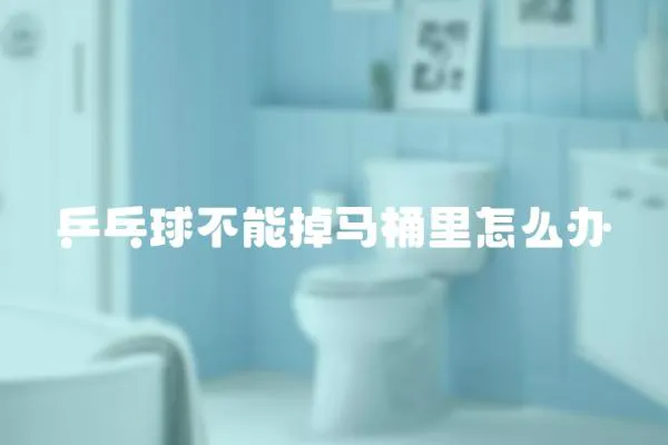 乒乓球不能掉馬桶里怎么辦