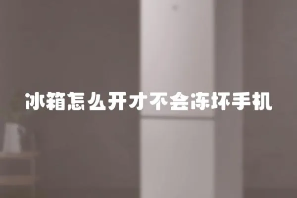 冰箱怎么開才不會凍壞手機