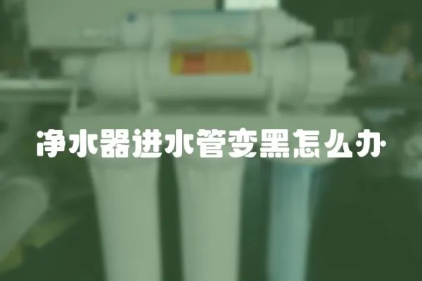 凈水器進水管變黑怎么辦