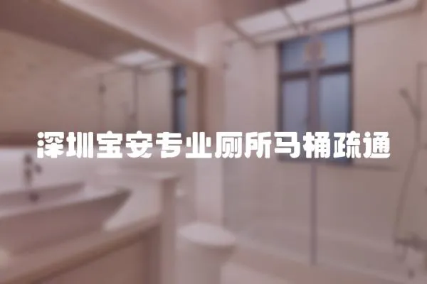 深圳寶安專業廁所馬桶疏通