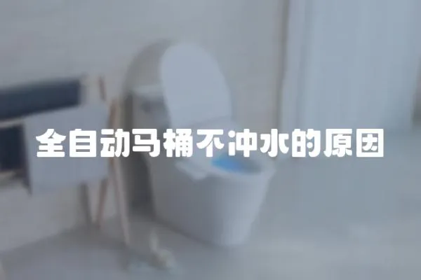 全自動(dòng)馬桶不沖水的原因