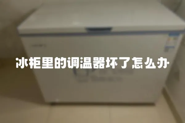 冰柜里的調溫器壞了怎么辦