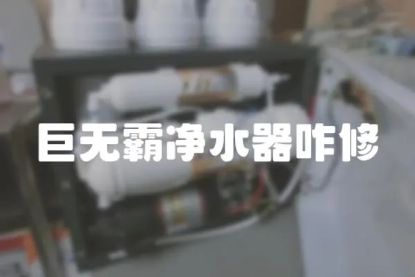 巨無霸凈水器咋修
