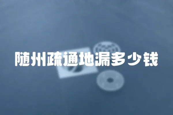 隨州疏通地漏多少錢