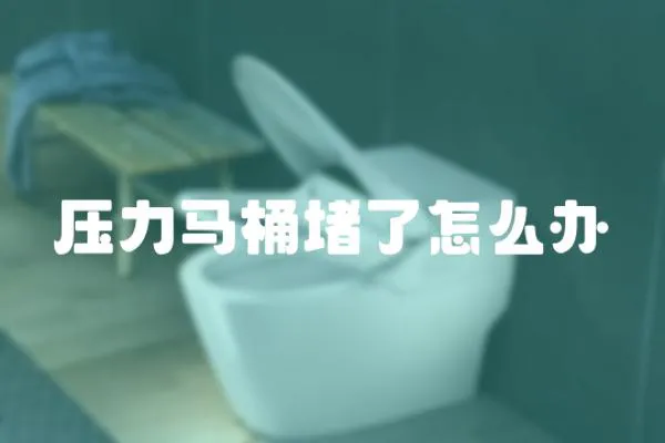 壓力馬桶堵了怎么辦