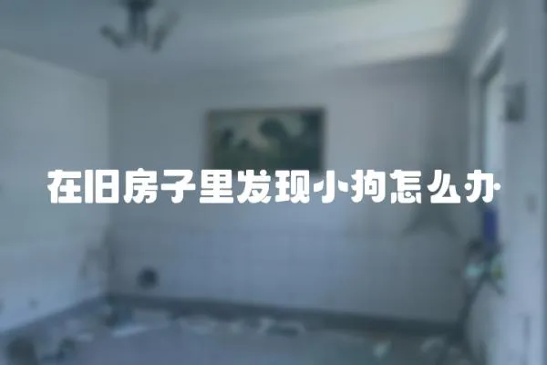 在舊房子里發現小狗怎么辦