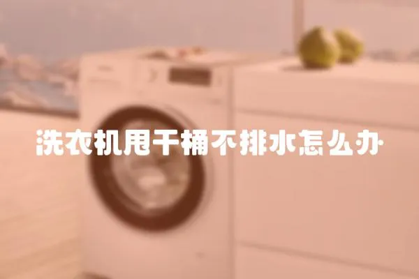 洗衣機甩干桶不排水怎么辦
