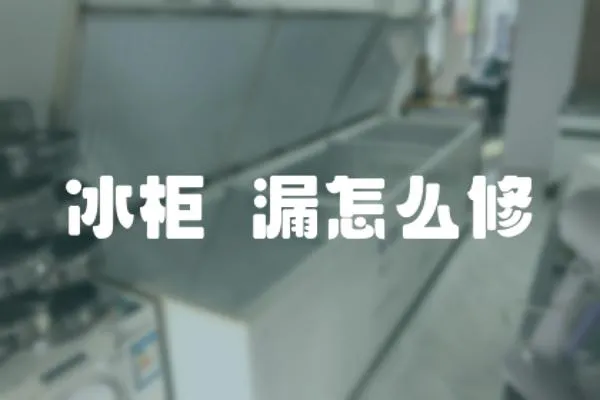 冰柜內漏怎么修