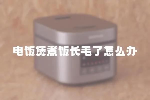 電飯煲煮飯長毛了怎么辦