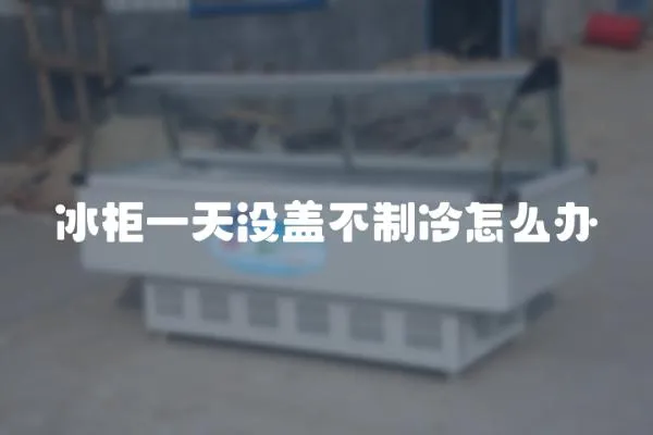 冰柜一天沒蓋不制冷怎么辦