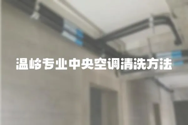 溫嶺專業中央空調清洗方法