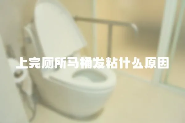 上完廁所馬桶發(fā)粘什么原因