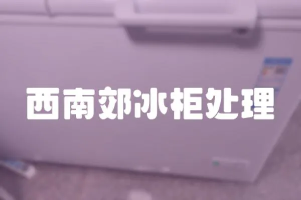 西南郊冰柜處理