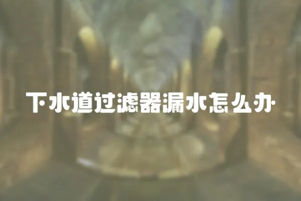 下水道過濾器漏水怎么辦