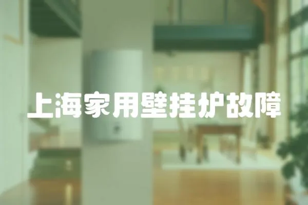 上海家用壁掛爐故障
